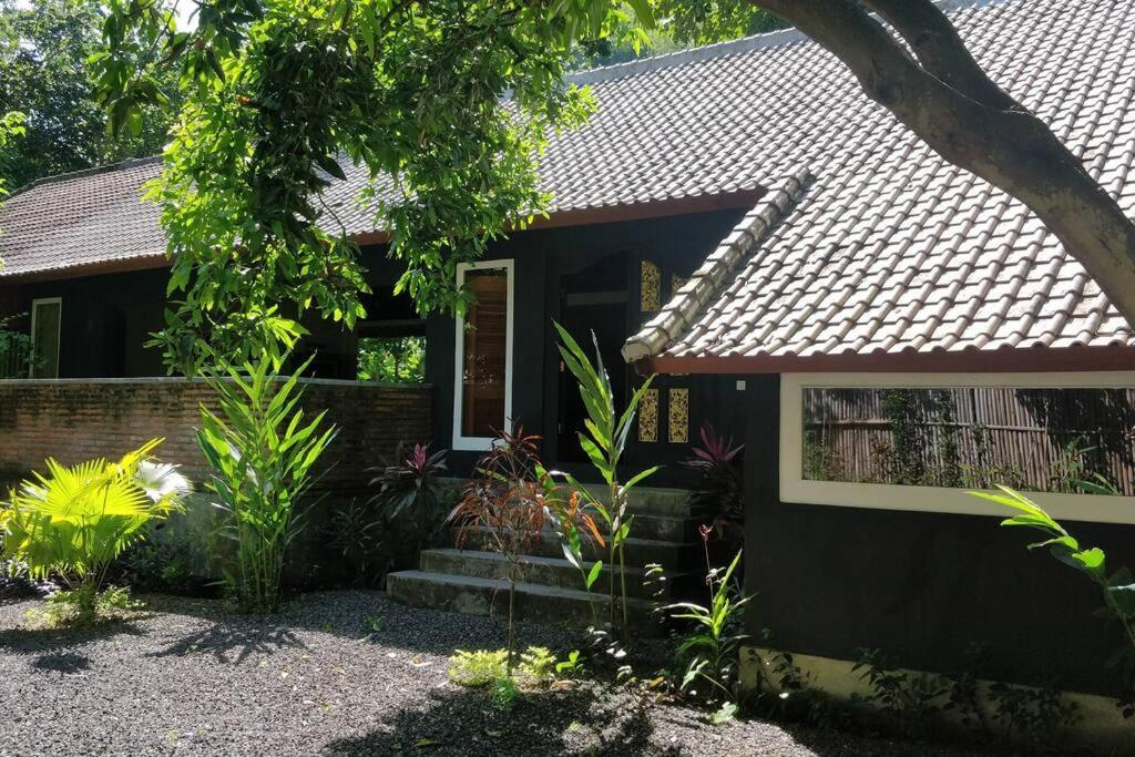 Villa King: Unique Villa With Indoor Swimming Pool Amed Exteriör bild